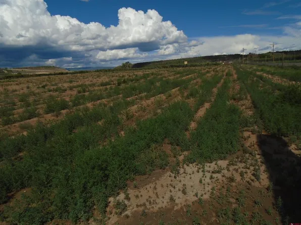 Lot 1 2150 Road, Austin, CO 81410