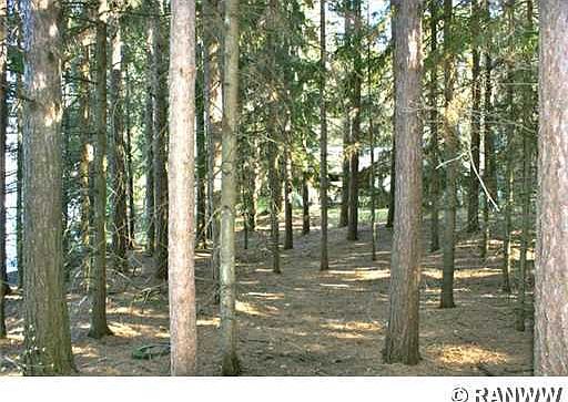 5th image of Lot 3 Winselman Road