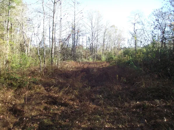 Bethel Purdy Rd, Bethel Springs, TN 38315