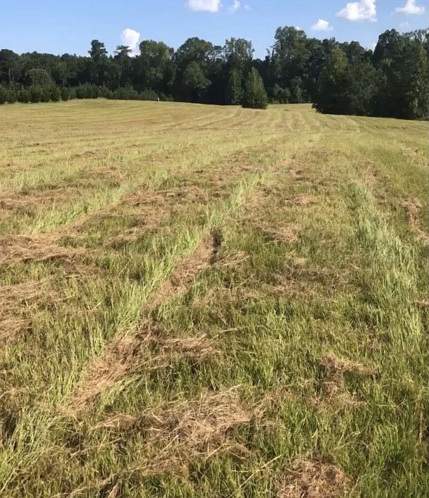 2nd image of 0 Rock Hill School Rd