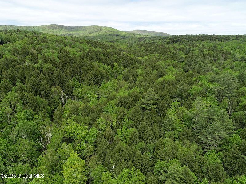 5th image of 124 Deer Valley Road