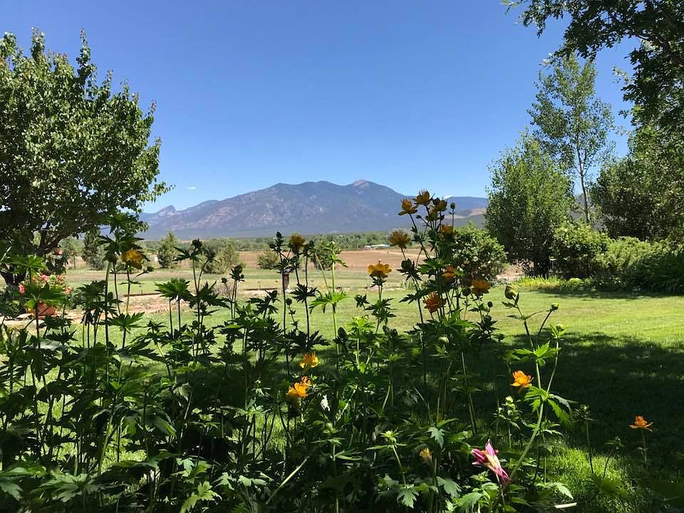 Verdant Gardens Taos Fasci Garden