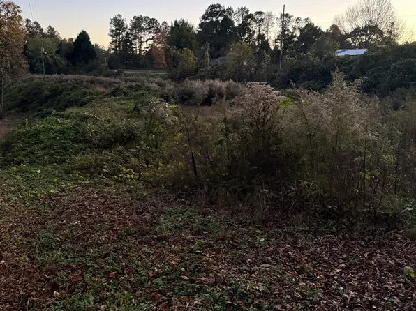300 Nancy Town Rd, Mount Airy, GA 30563