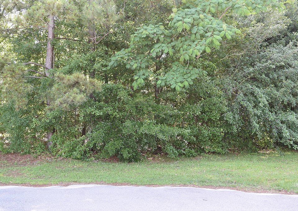 2nd image of 40 Shaginaw Ct