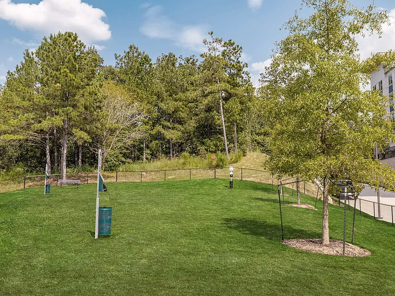 Dog Park