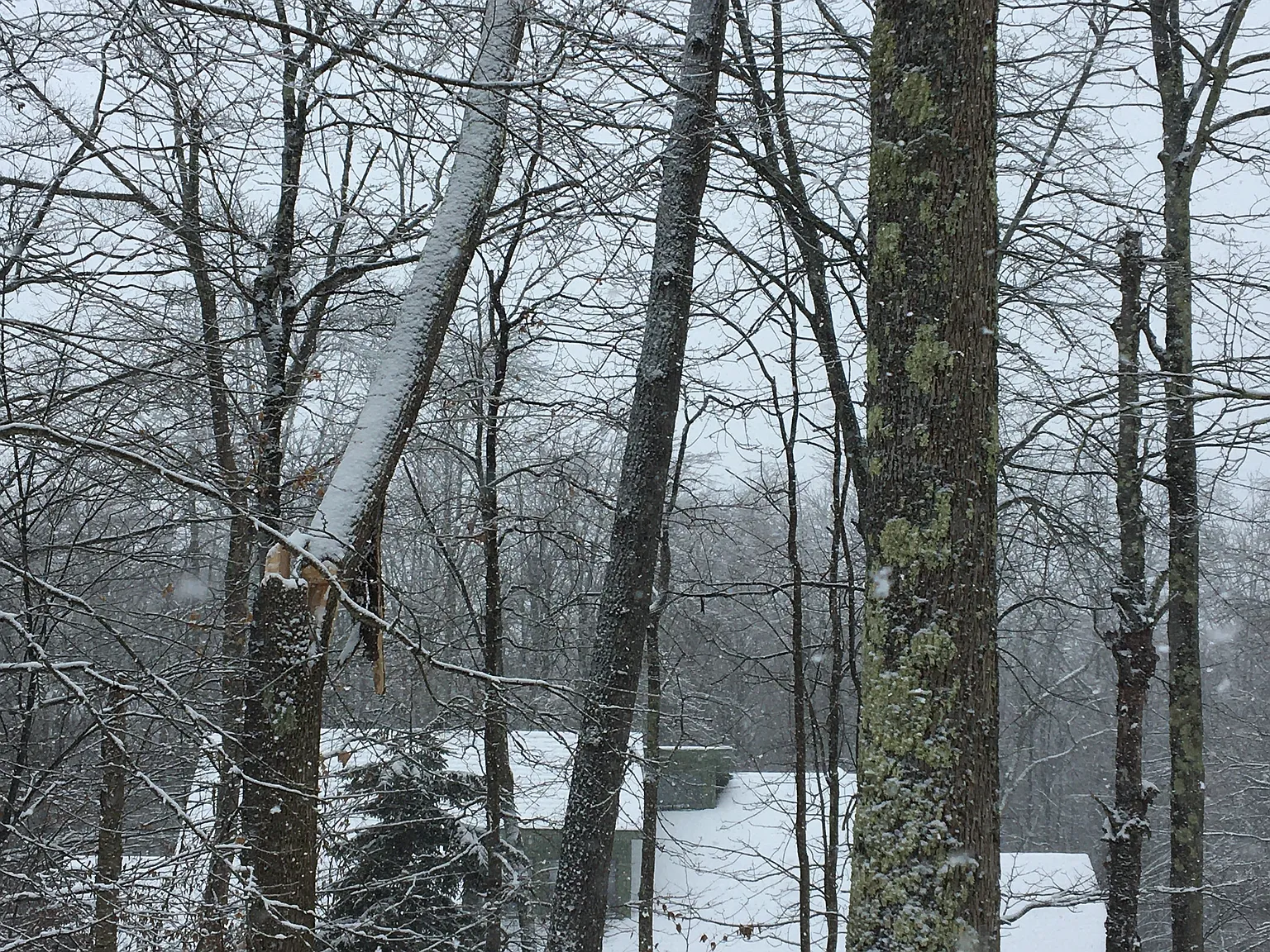 313 Fern Ln — Photo 3