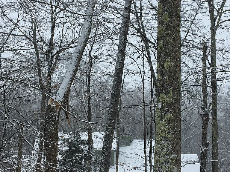 313 Fern Ln — Photo 3