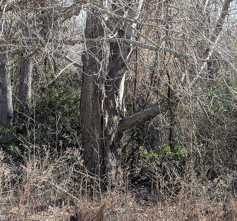 2nd image of 1 Scotts Ln #1