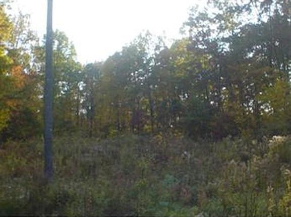2nd image of 87 Klaus Anderson Rd
