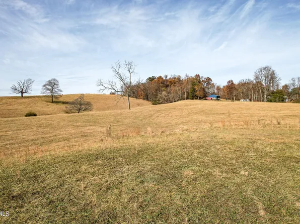 20.21 Stone Dam Rd, Chuckey, TN 37641