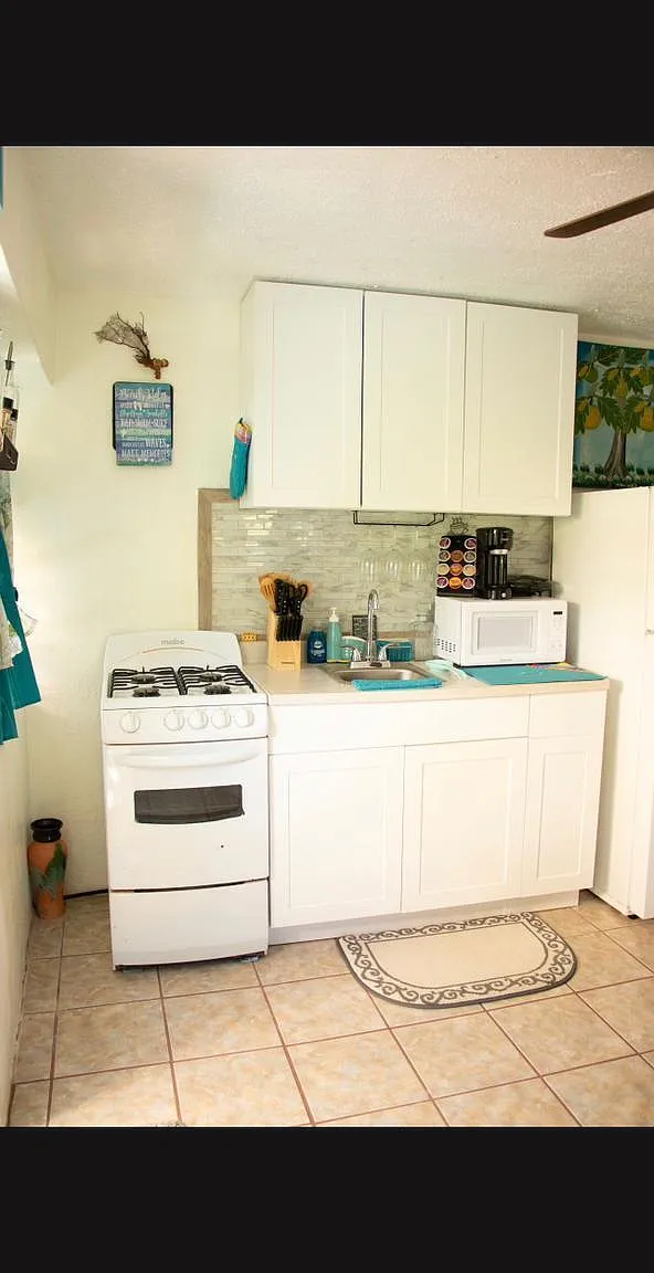 1 bed, 310 sqft, $1,100 — Photo 3