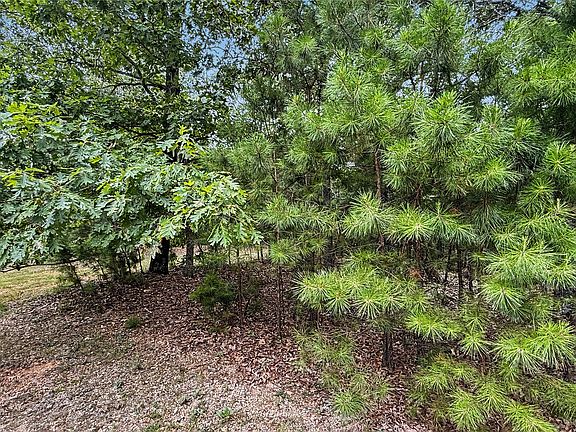 3rd image of 1595 Deer Lake Dr