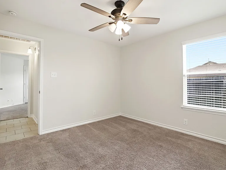 15441 Cooks Petrel — Photo 12