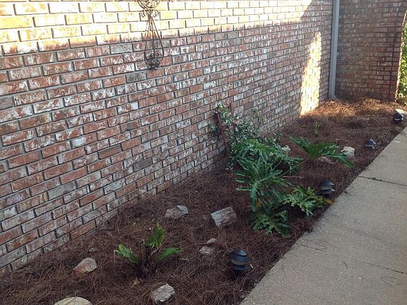 2nd image of 1621 Date Palm Dr