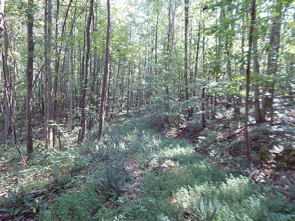 5th image of County Road 822