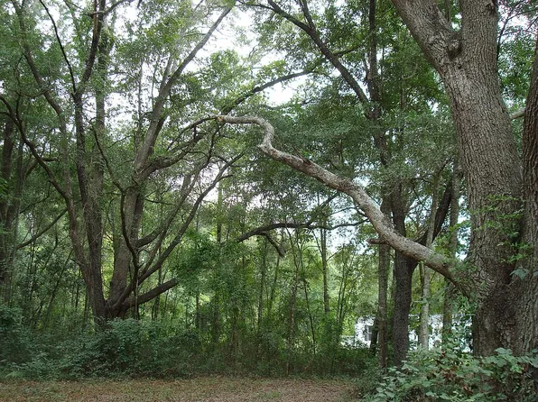 22912 NW 62nd Ave, Alachua, FL 32615