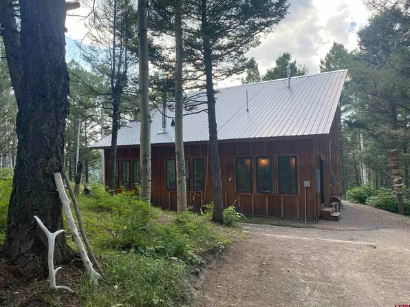 593 Crest Drive, Cimarron, CO 81220