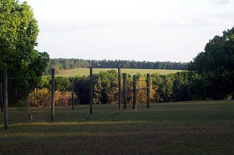 North Carolina Views