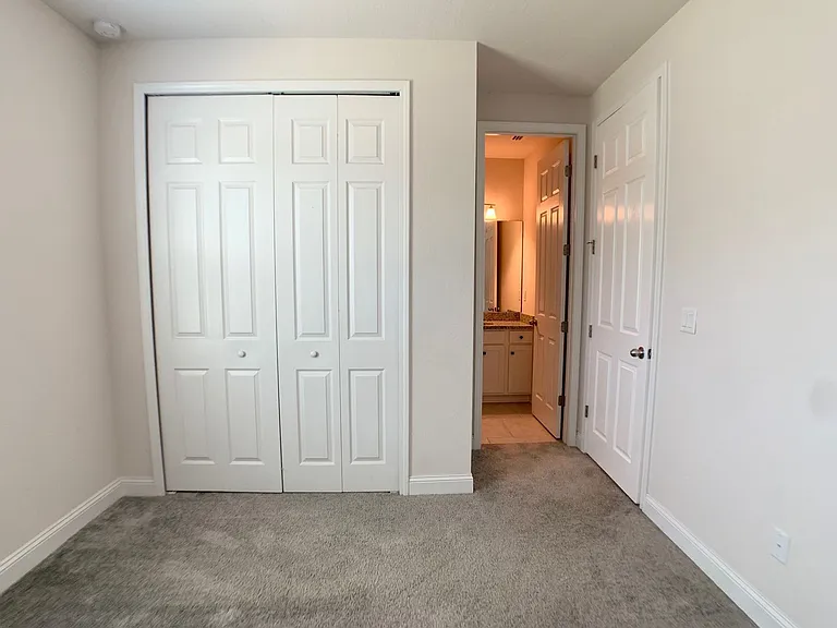 1499 Tropical Pine Cv — Photo 37