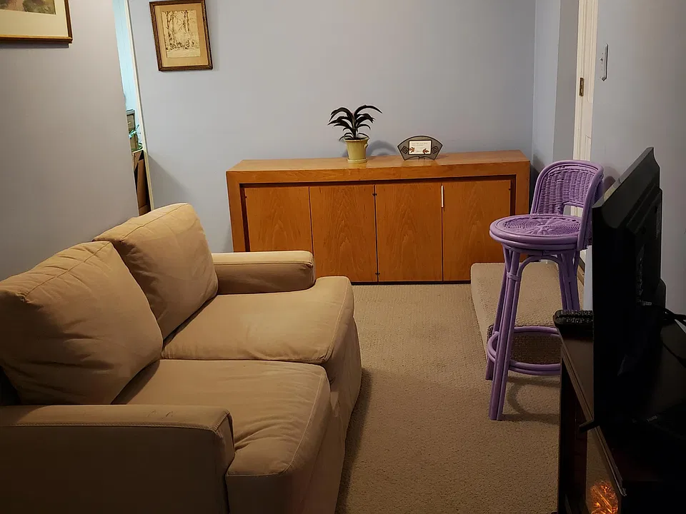 Small entry and guest area.