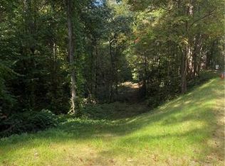 15 Beech Tree Ln, Asheville, NC 28804