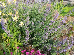 130 Hillside Dr, Ririe, ID 83443