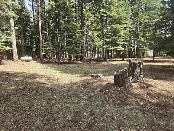 4th image of 716 Conifer Trl