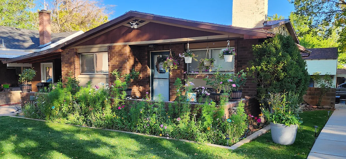 Home in spring time. Lots of wild flowers grow each year in the front. - 574 W Harding Ave