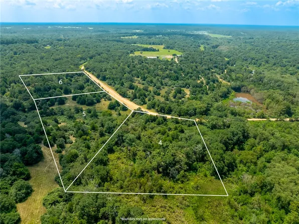 Lots 4 6 Ranch Road Dr, Normangee, TX 77871
