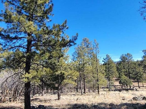 358 Cooper Ranch Rd, Williams, AZ 86046 | MLS #1056458 | Zillow