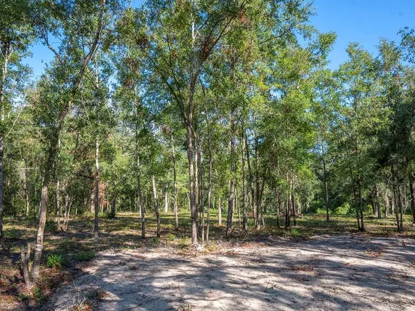 428 NE 582nd Ave, Old Town, FL 32680