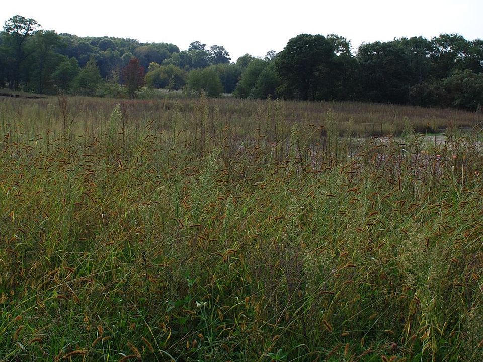 16764 Dakota St NW, Andover, MN 55304 MLS 6106564 Zillow