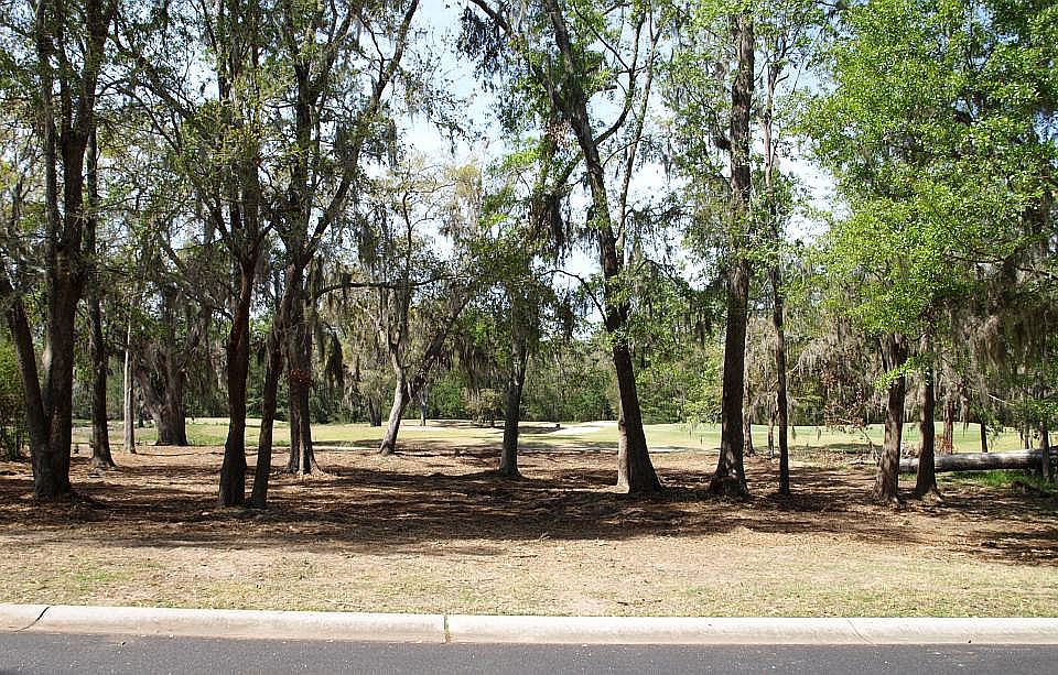 Center View from Street