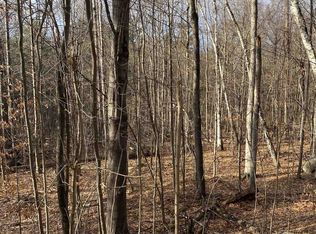 8 Fred Johnson Cir #16, Middlebury, VT 05753