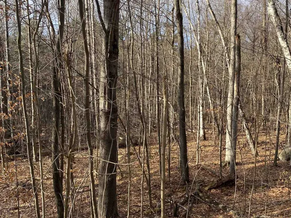 8 Fred Johnson Circle #16, Middlebury, VT 05753