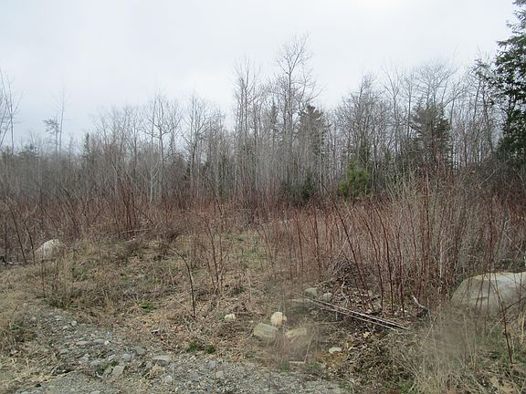 5th image of 60 Clements Road