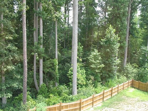 Wetlands in Backyard