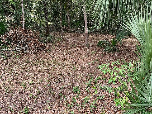 4th image of 10670 E Gobbler Dr