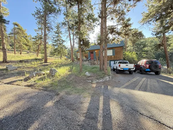 6684 Marshmerry Ln, Evergreen, CO 80439