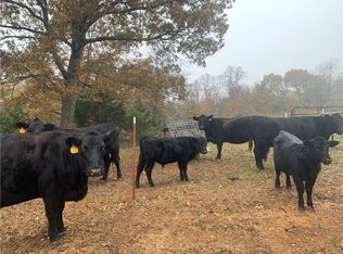 13362 Bunyard Rd, Winslow, AR 72959