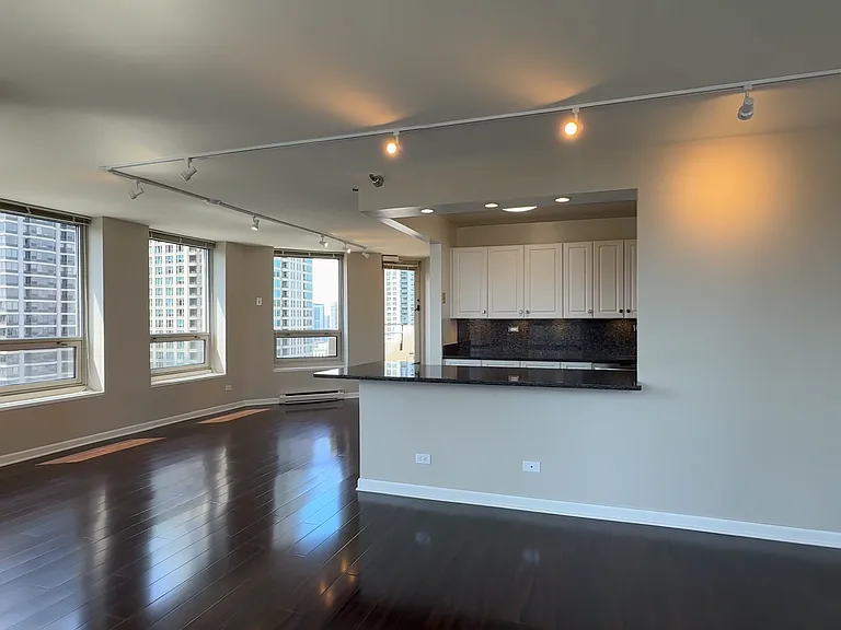 745 N Rush St #3203 — Photo 1