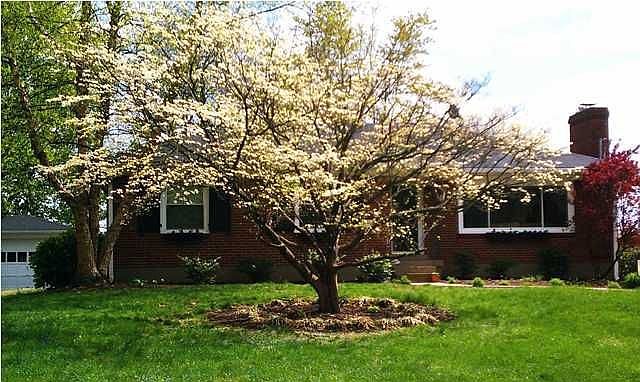 Apr 26 2011