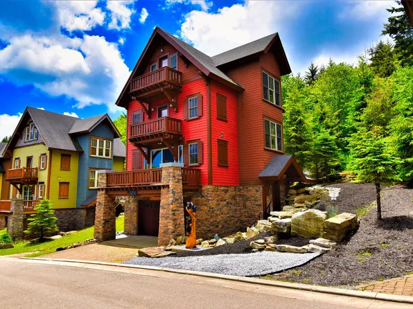 54 Sanctuary Dr, Snowshoe, WV 26209