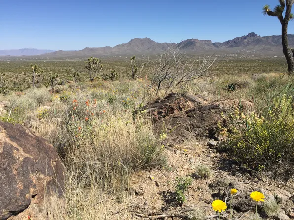1565 W Boulder Dr, Meadview, AZ 86444