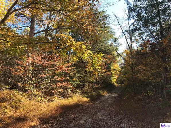 1456 Wards Rd, Mount Sherman, KY 42764