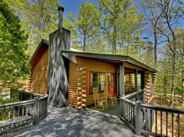 1243 Little Bushy Head Rd, Blue Ridge, GA 30513