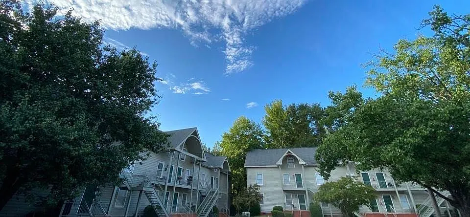 1 bed, 650 sqft, $1,290 — Photo 4
