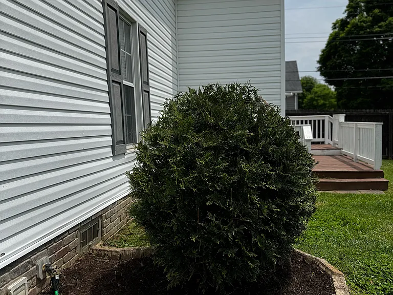 9175 Walnut St #1 — Photo 29