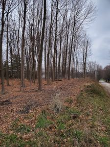 Hance St, Niles, MI, 49120
