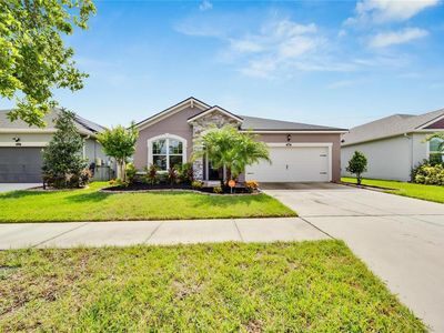 13025 Satin Lily Dr, Riverview, FL, 33579